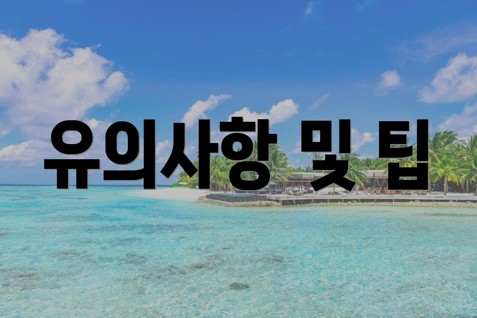 유의사항 및 팁