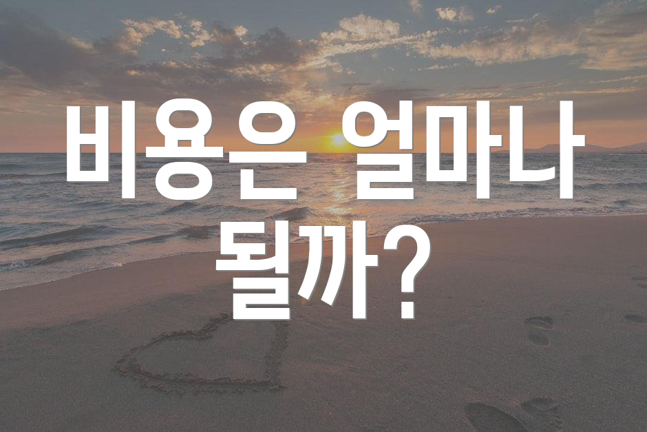비용은 얼마나 될까?