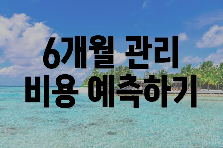 6개월 관리 비용 예측하기
