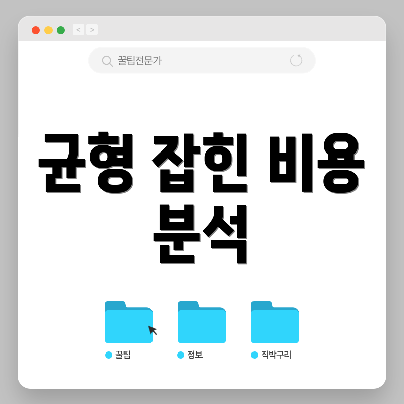 균형 잡힌 비용 분석