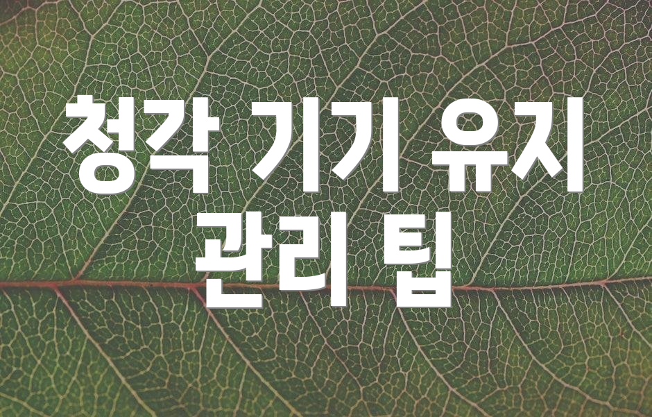 청각 기기 유지 관리 팁