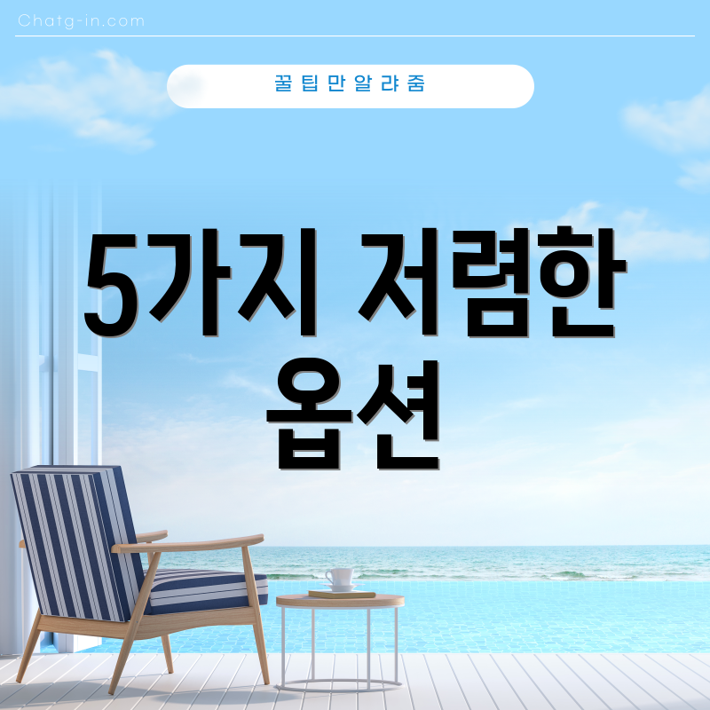 5가지 저렴한 옵션
