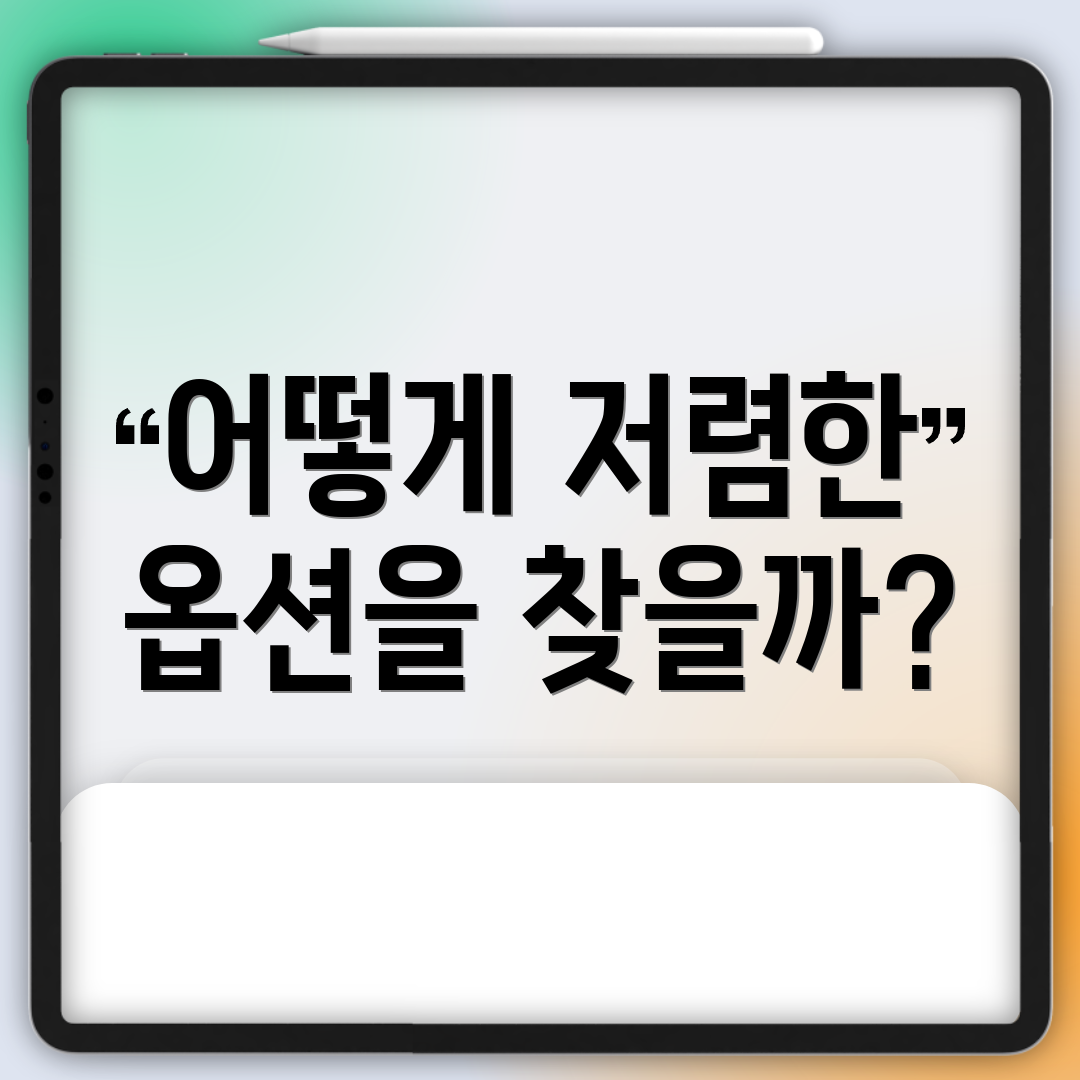 어떻게 저렴한 옵션을 찾을까?