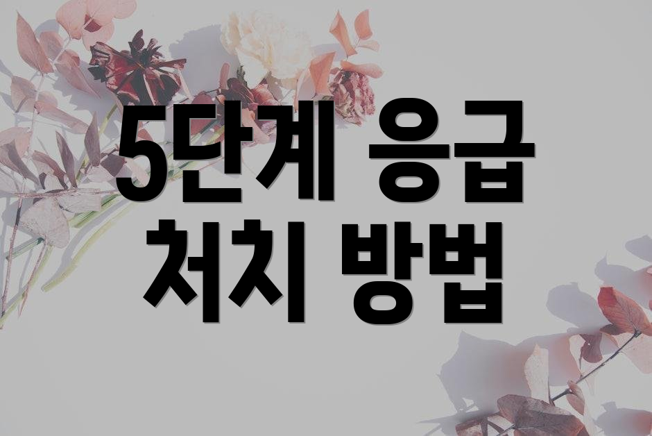 5단계 응급 처치 방법