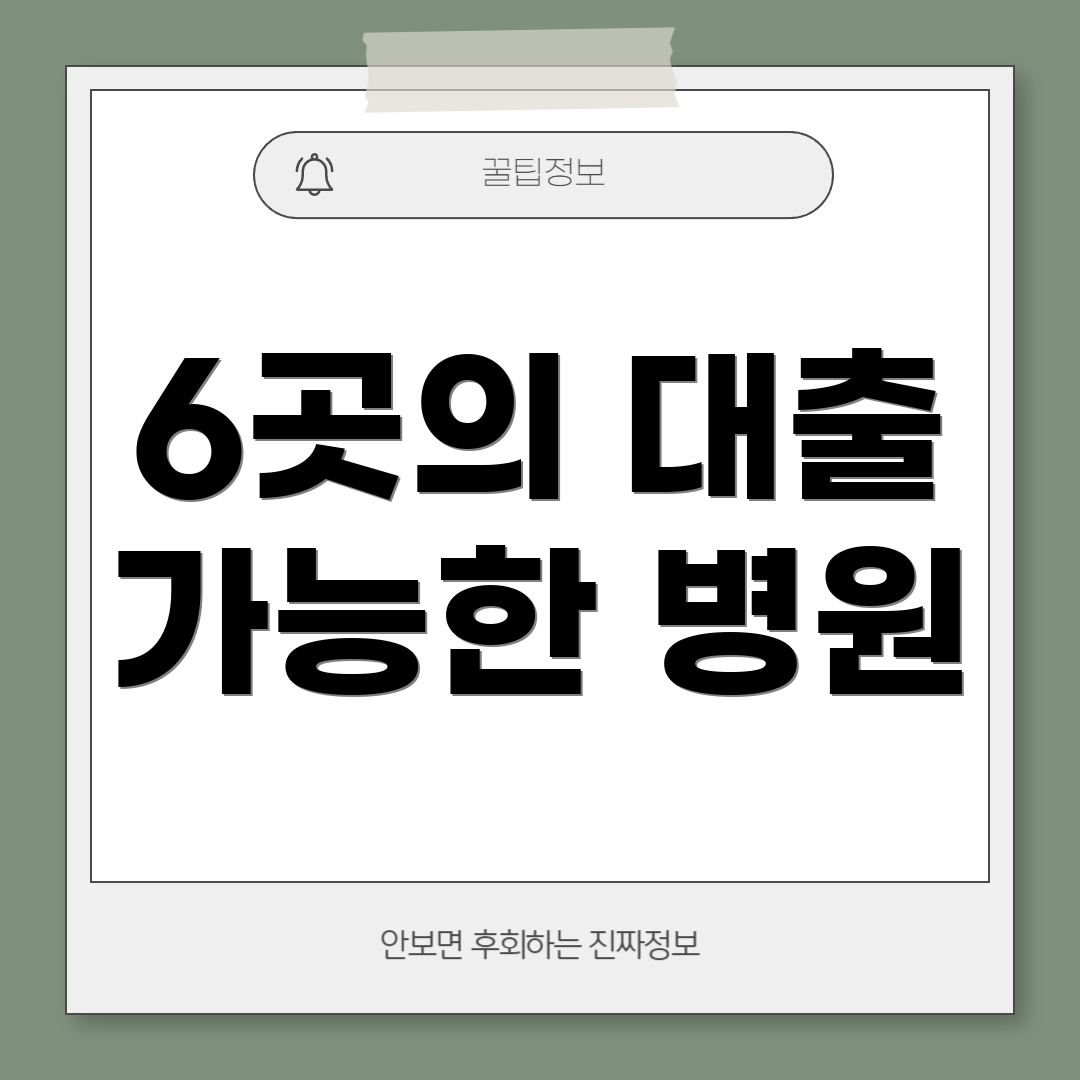 6곳의 대출 가능한 병원