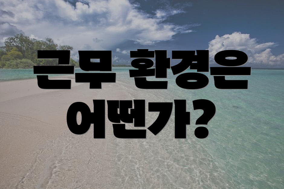 근무 환경은 어떤가?