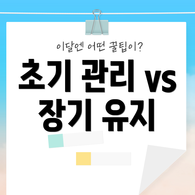 초기 관리 vs 장기 유지