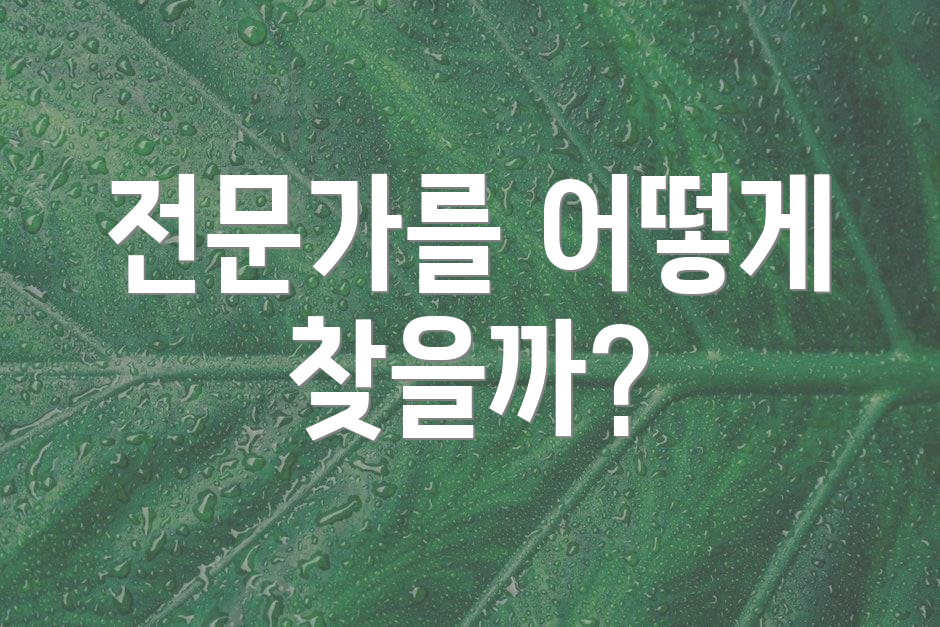 전문가를 어떻게 찾을까?