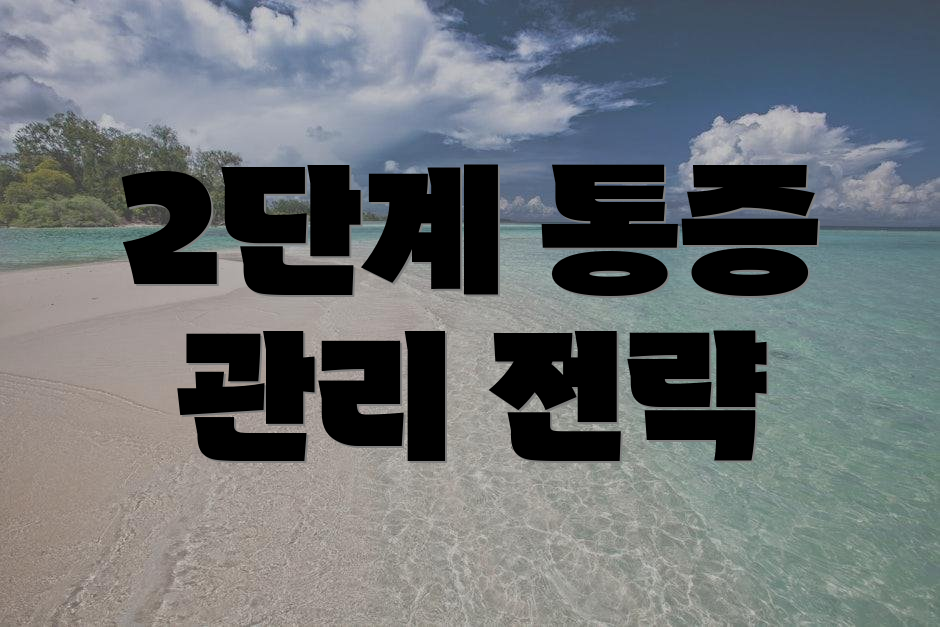 2단계 통증 관리 전략