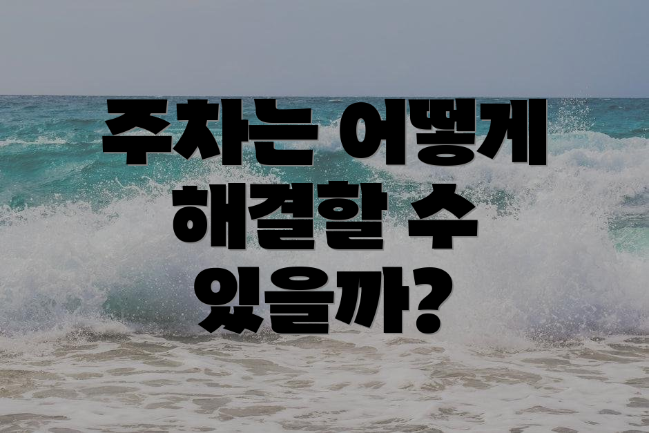 주차는 어떻게 해결할 수 있을까?