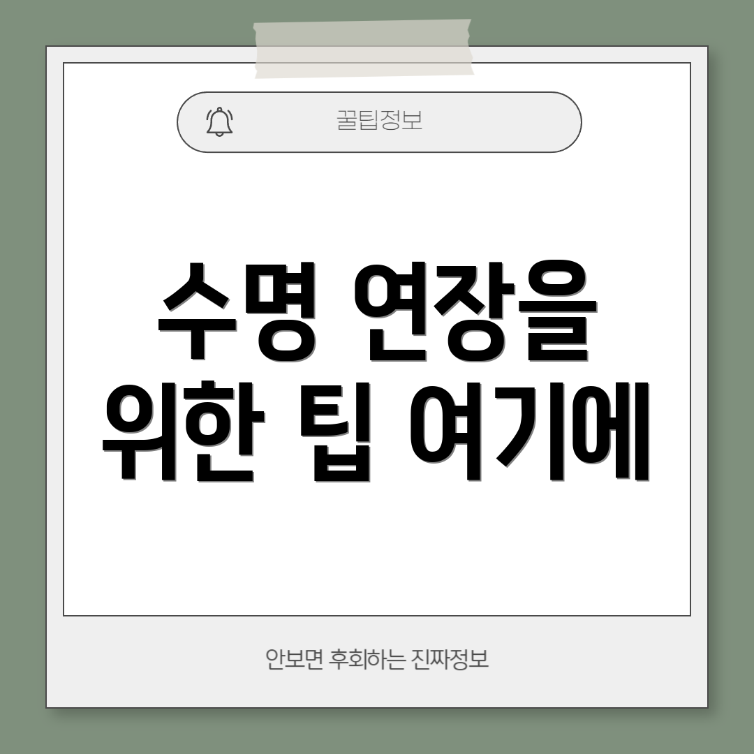 수명 연장을 위한 팁 여기에