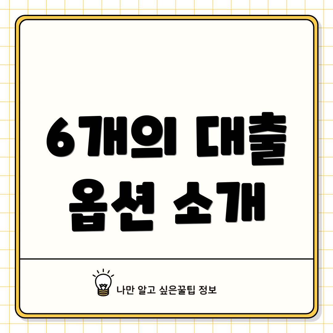 6개의 대출 옵션 소개