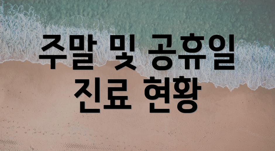 주말 및 공휴일 진료 현황