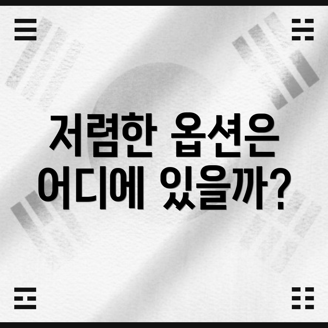 저렴한 옵션은 어디에 있을까?