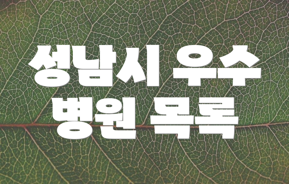 성남시 우수 병원 목록