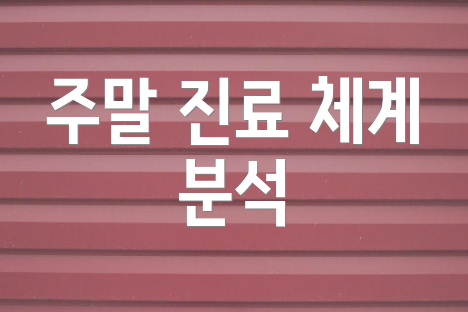 주말 진료 체계 분석