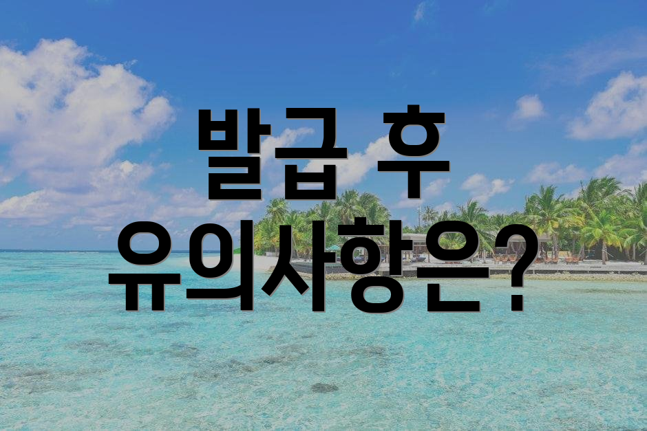 발급 후 유의사항은?