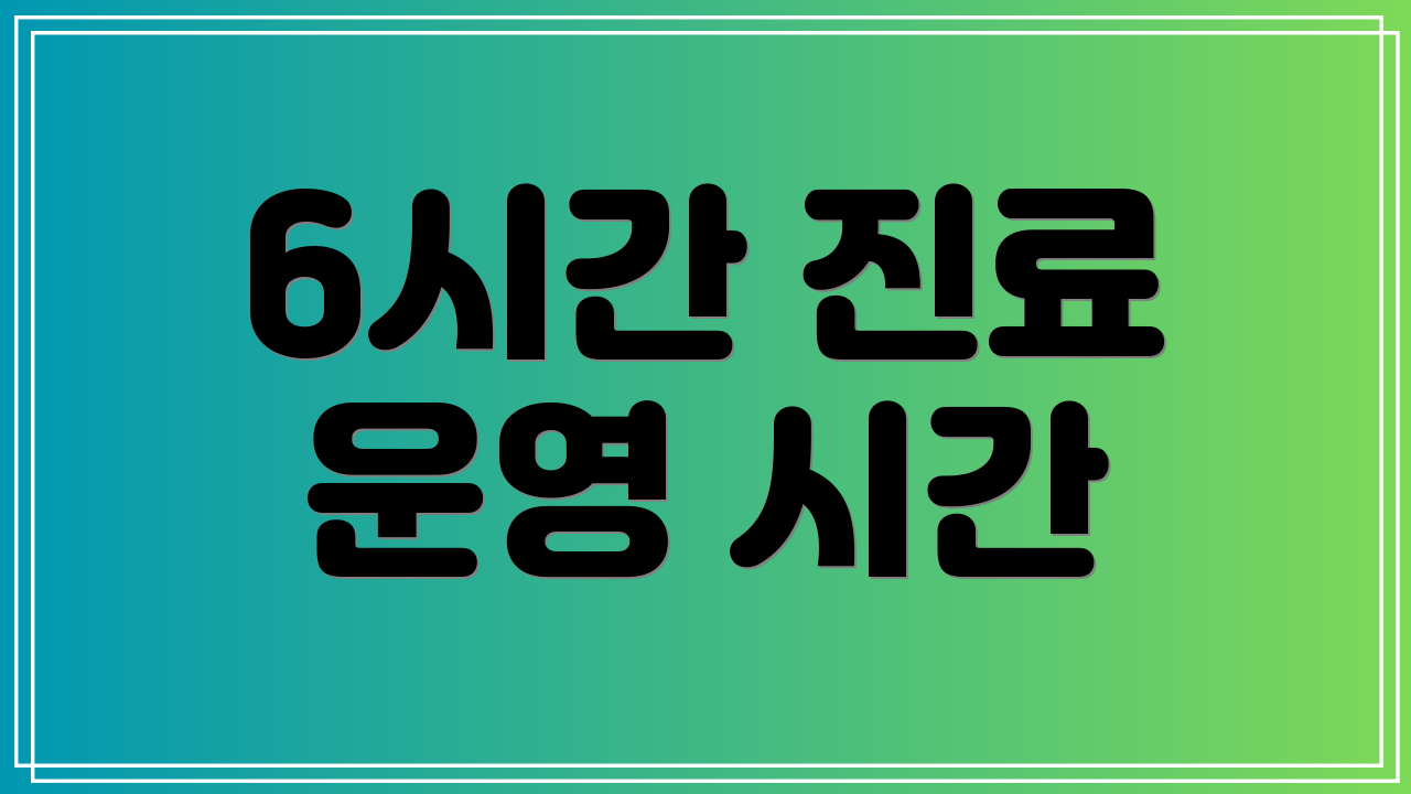 6시간 진료 운영 시간