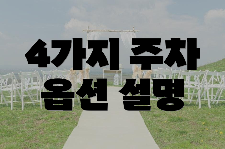 4가지 주차 옵션 설명