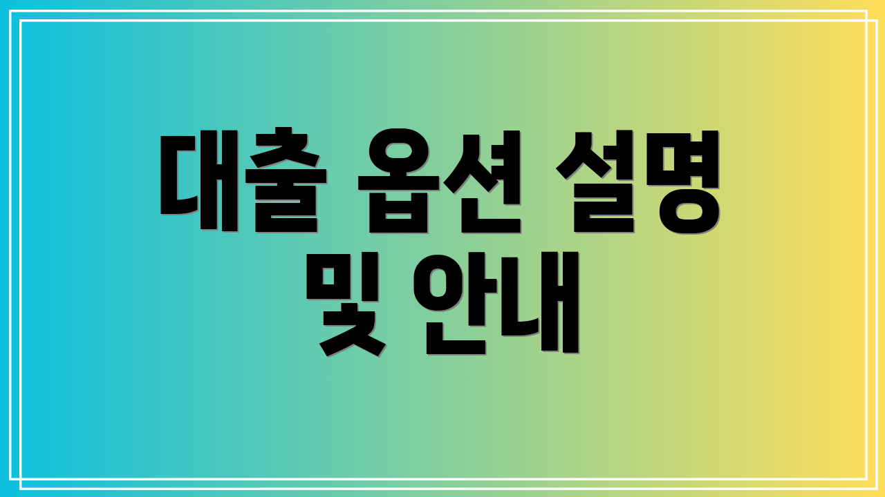 대출 옵션 설명 및 안내