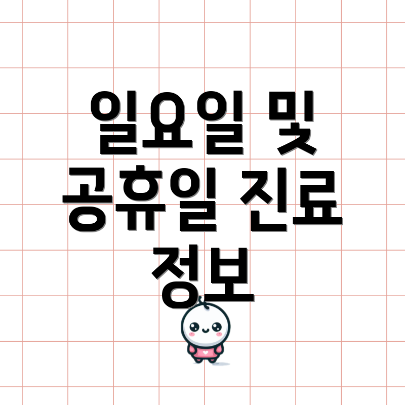 일요일 및 공휴일 진료 정보