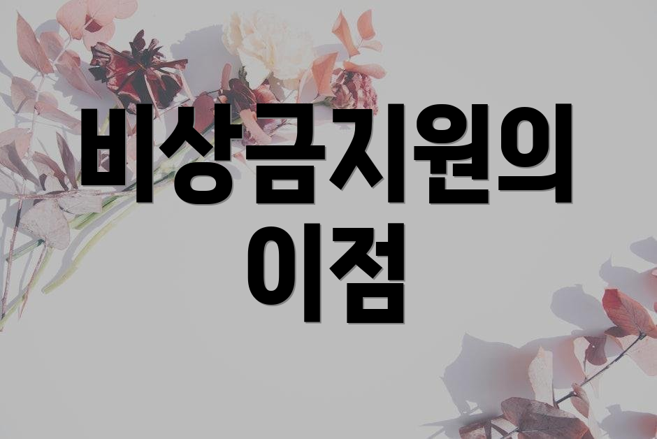비상금지원의 이점