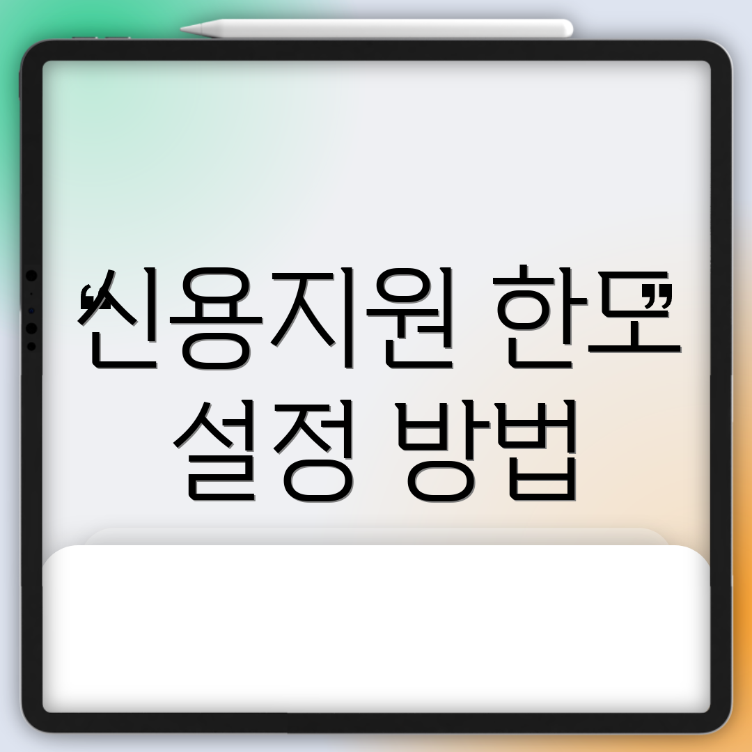 신용지원 한도 설정 방법