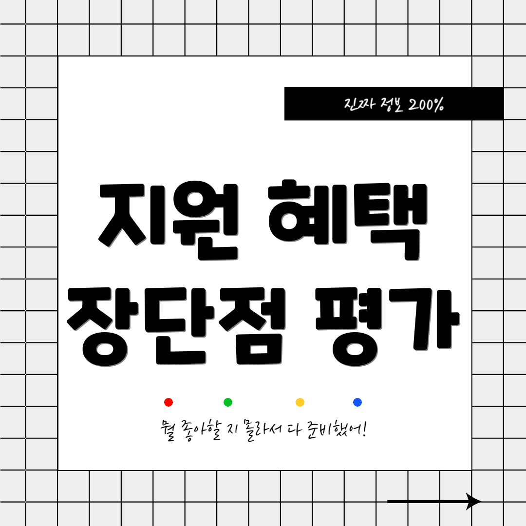 지원 혜택 장단점 평가