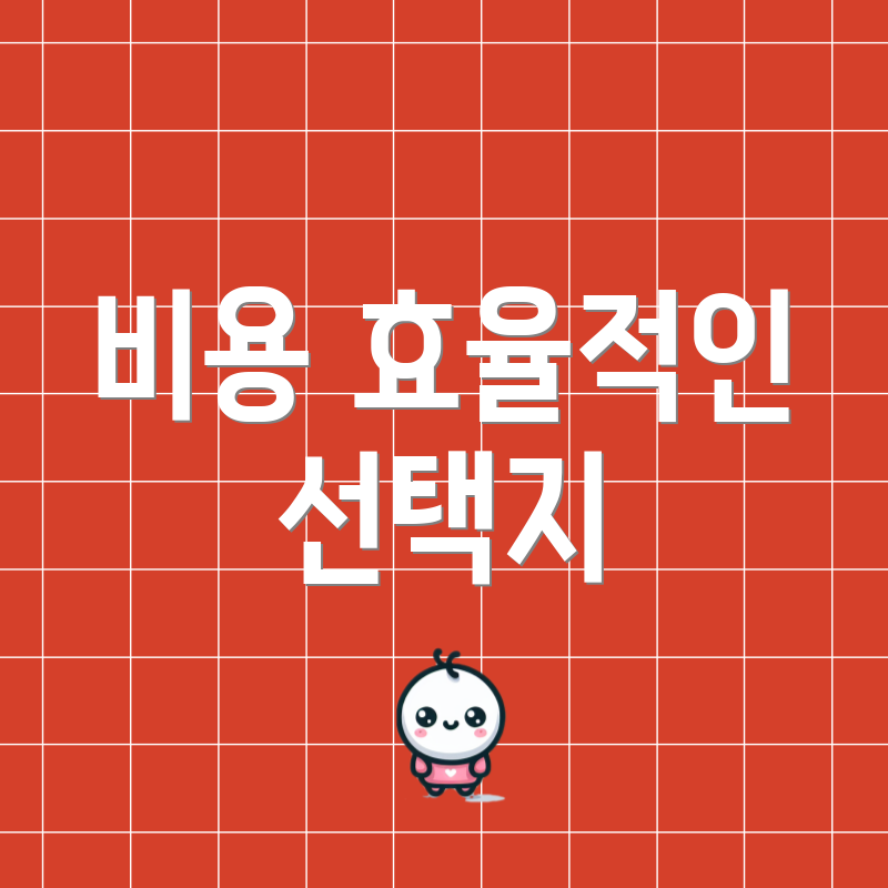 비용 효율적인 선택지
