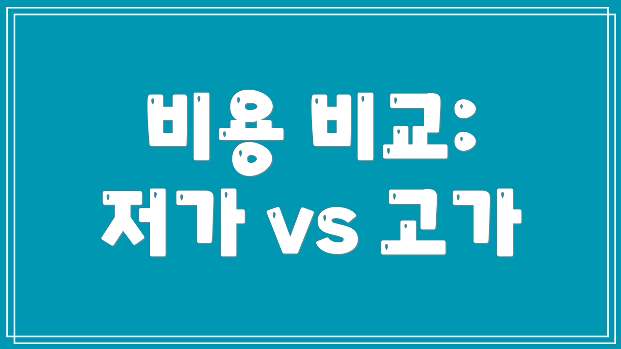 비용 비교: 저가 vs 고가
