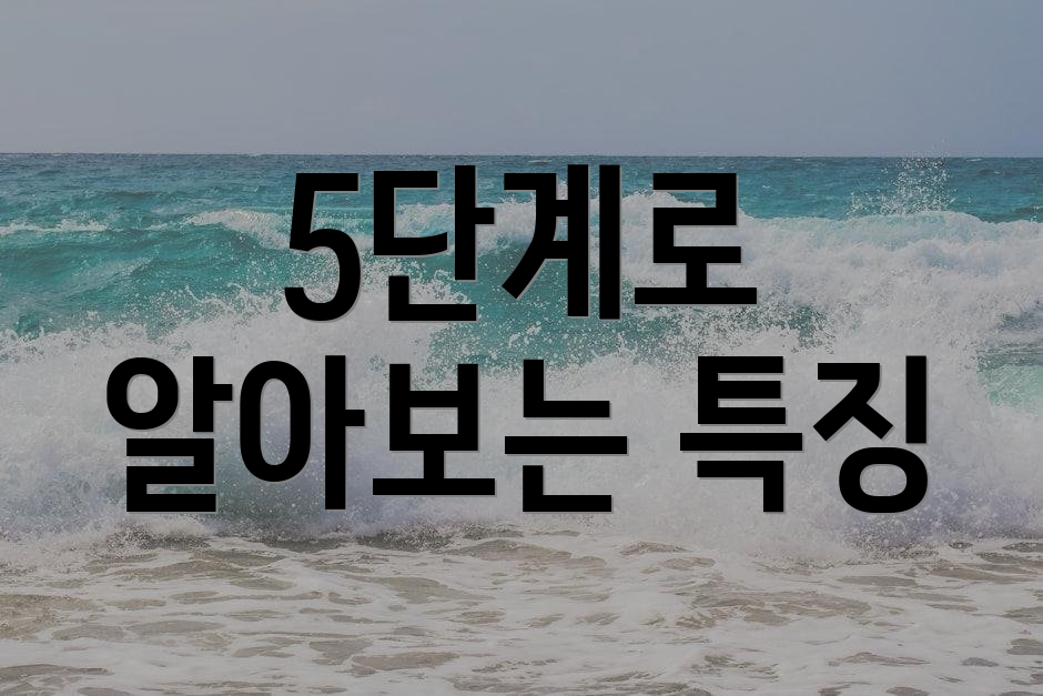 5단계로 알아보는 특징