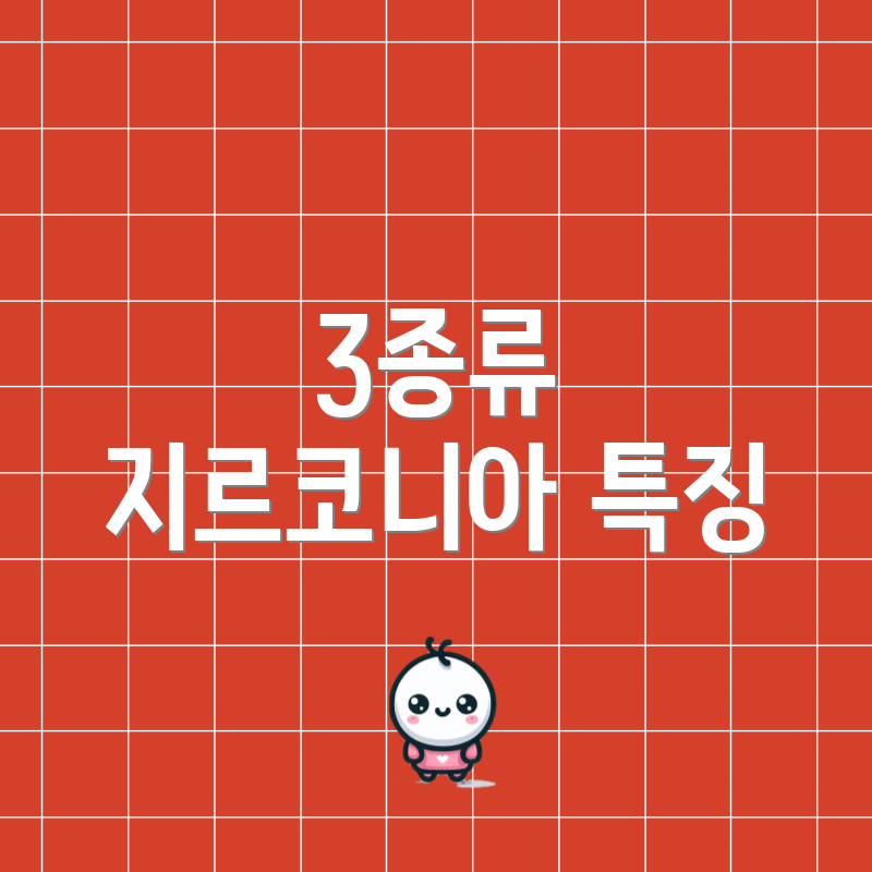 3종류 지르코니아 특징