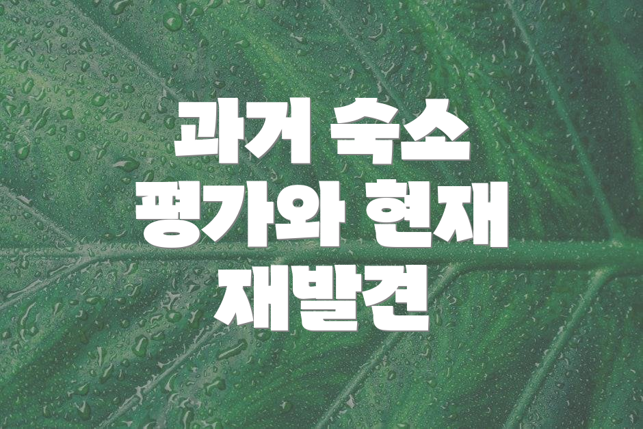 과거 숙소 평가와 현재 재발견