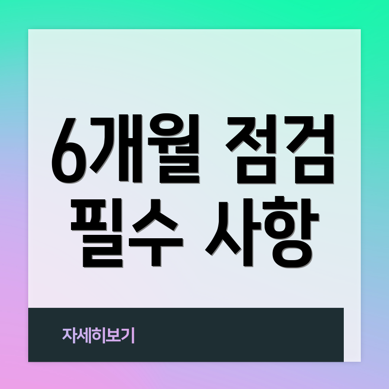 6개월 점검 필수 사항
