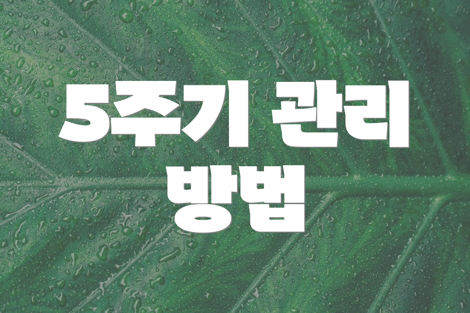 5주기 관리 방법
