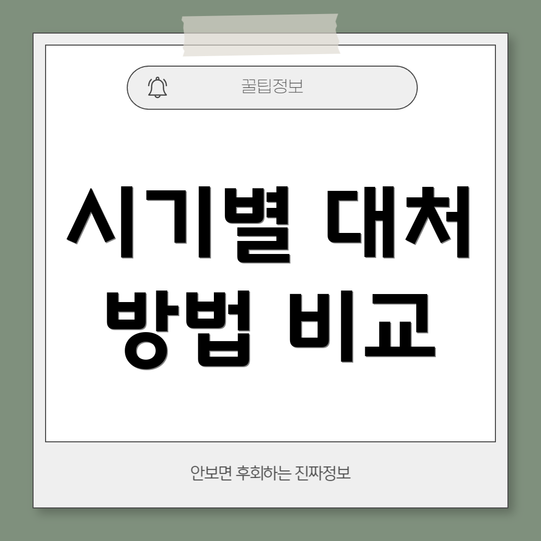 시기별 대처 방법 비교