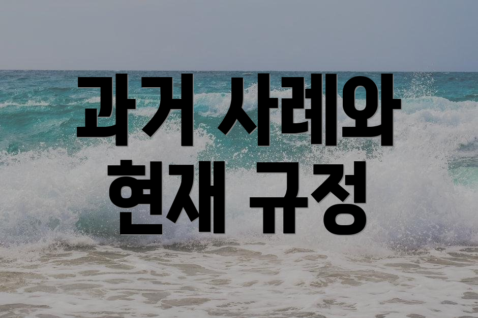 과거 사례와 현재 규정