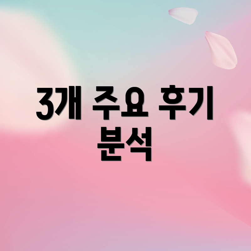 3개 주요 후기 분석