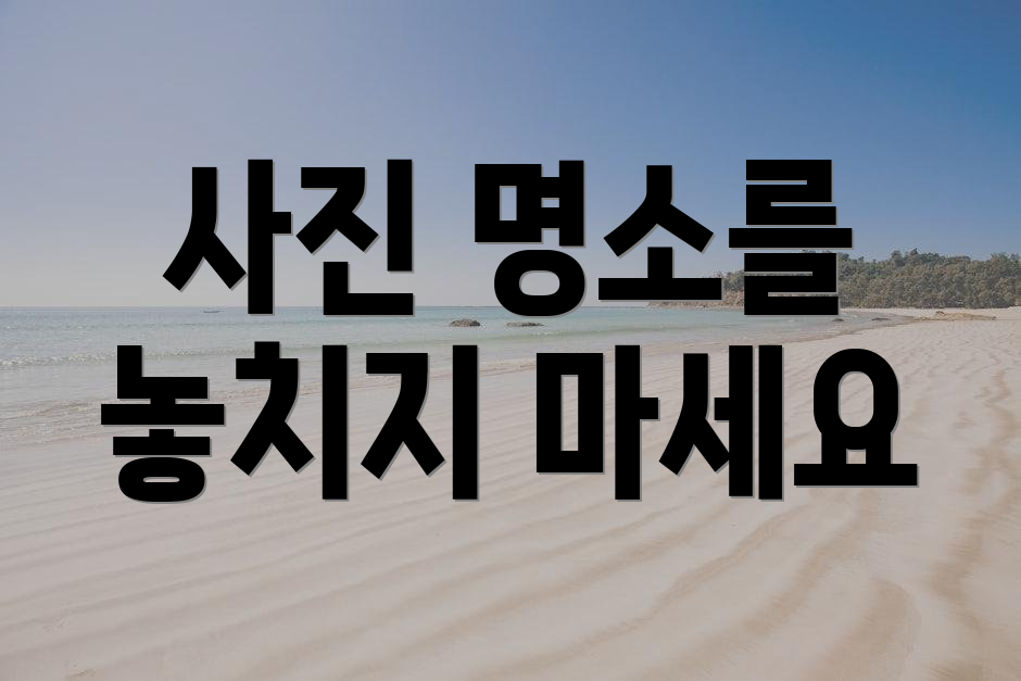 사진 명소를 놓치지 마세요