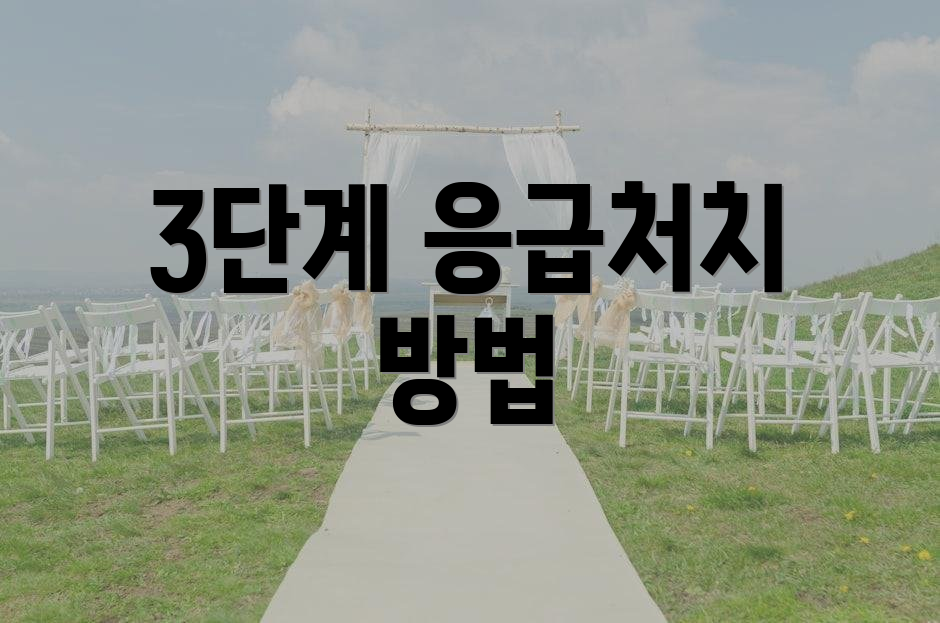 3단계 응급처치 방법