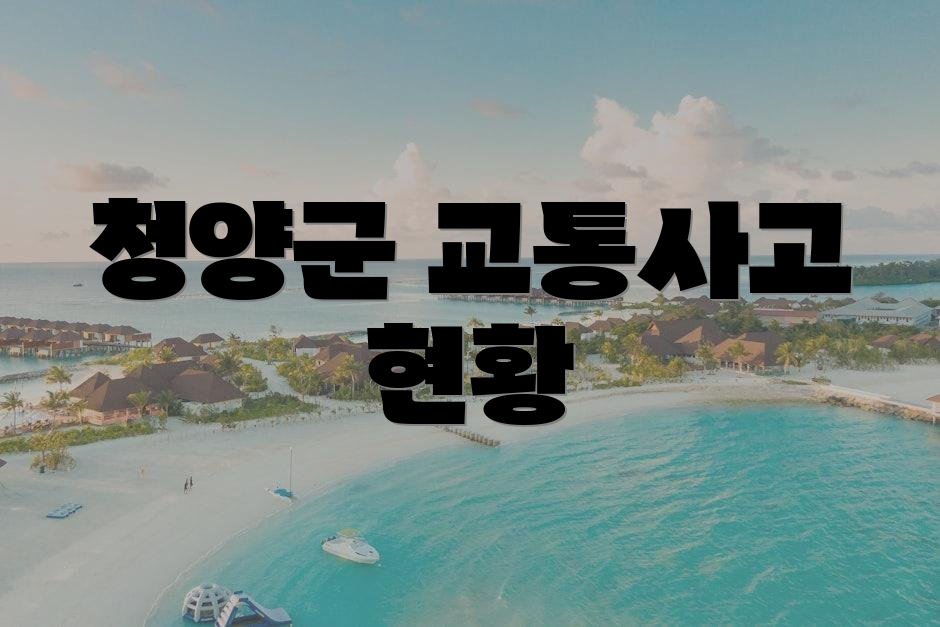 청양군 교통사고 현황
