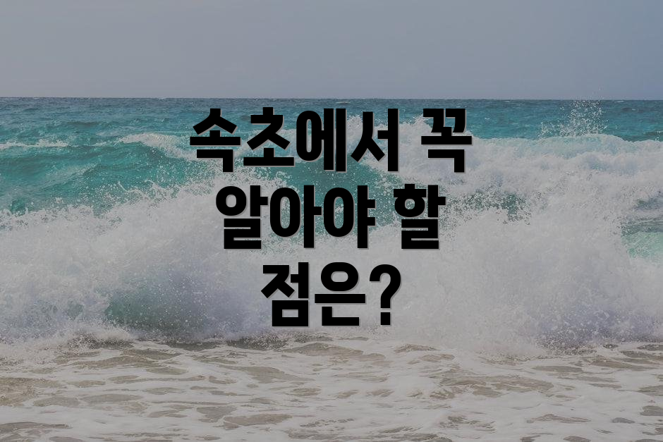 속초에서 꼭 알아야 할 점은?