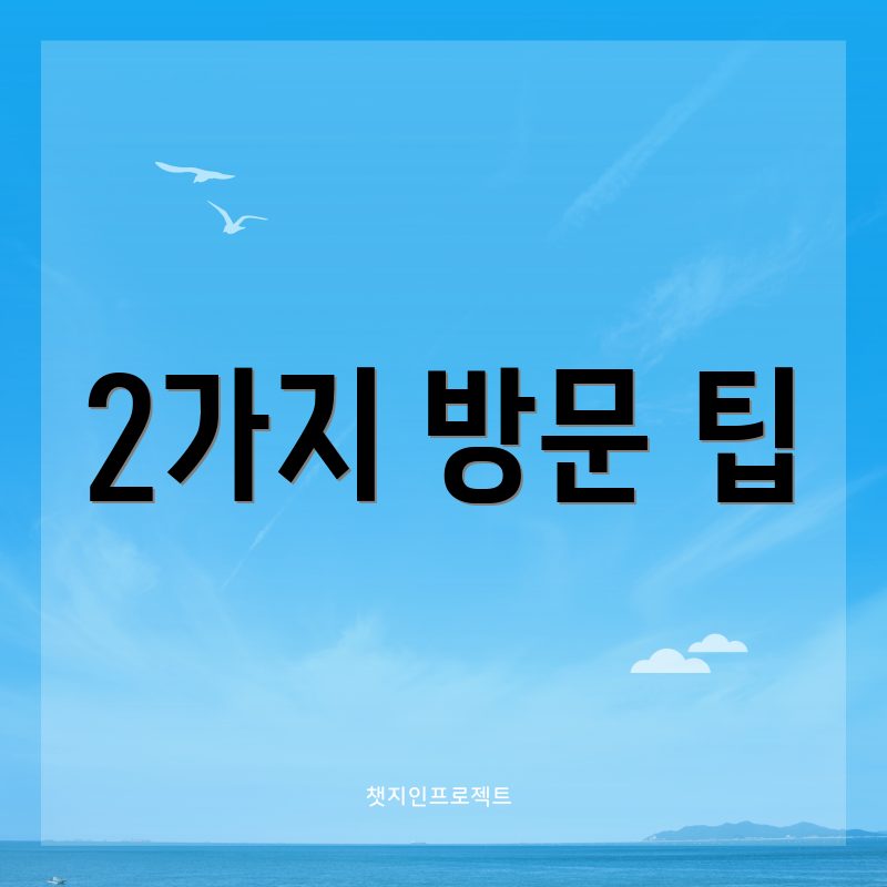 2가지 방문 팁