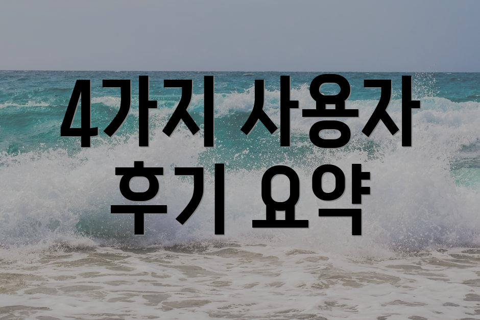 4가지 사용자 후기 요약