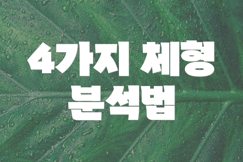 4가지 체형 분석법