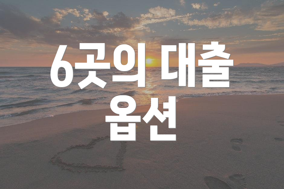 6곳의 대출 옵션