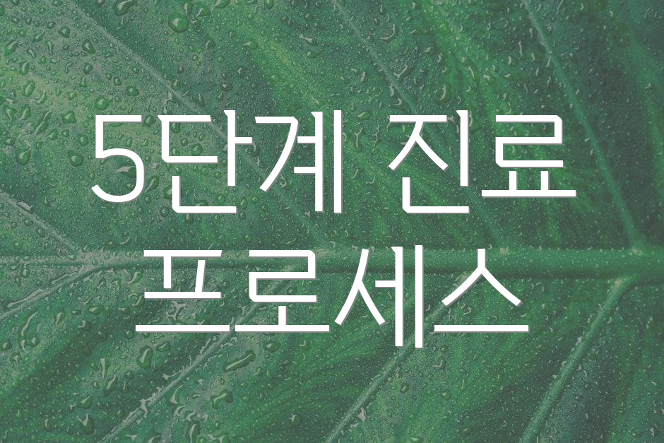 5단계 진료 프로세스