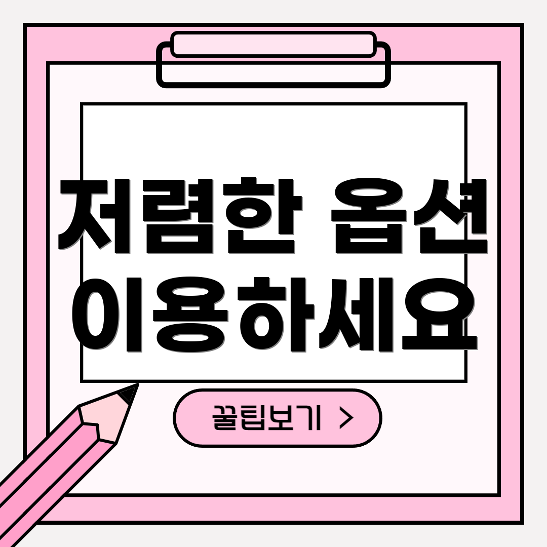 저렴한 옵션 이용하세요