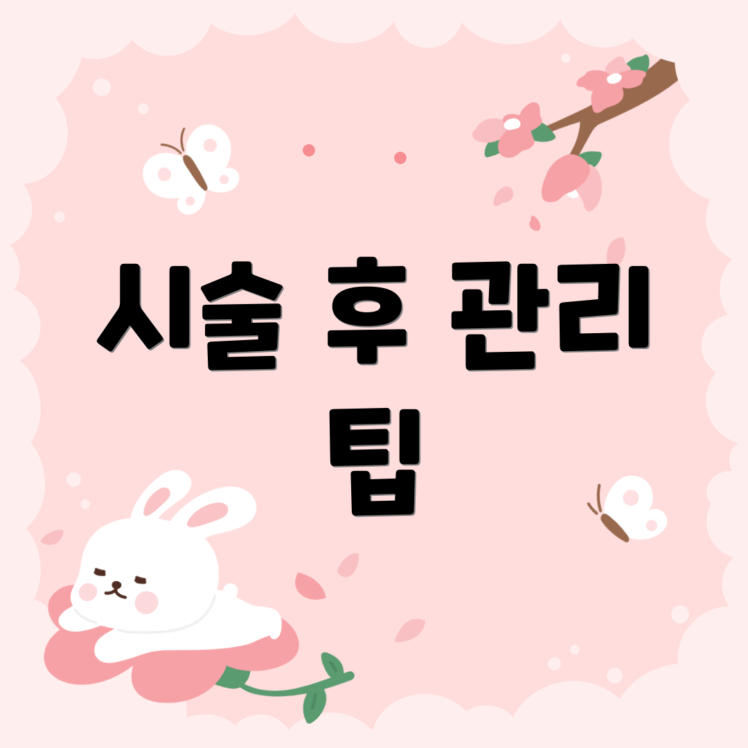시술 후 관리 팁