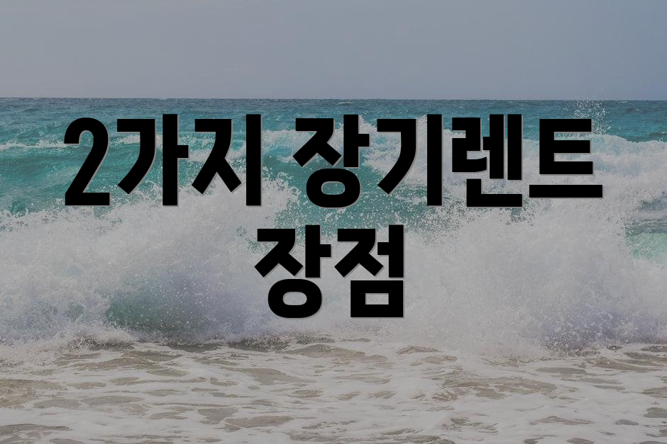 2가지 장기렌트 장점
